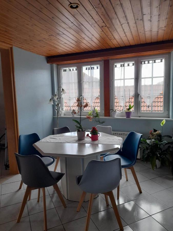 Gite Le Jardin De Hermolsheim. Alsace Tres Spacieux Mutzig Exteriér fotografie
