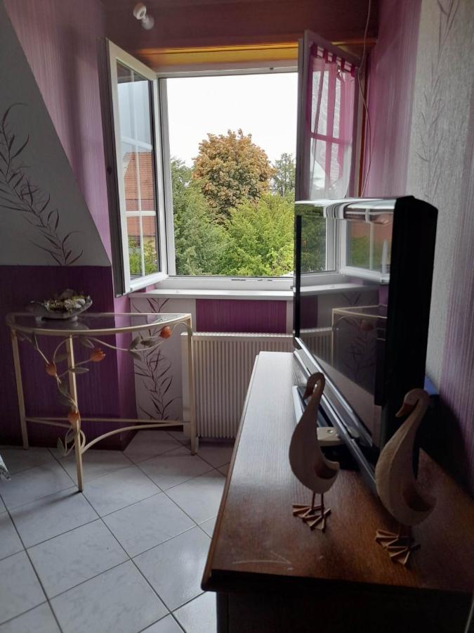 Gite Le Jardin De Hermolsheim. Alsace Tres Spacieux Mutzig Exteriér fotografie