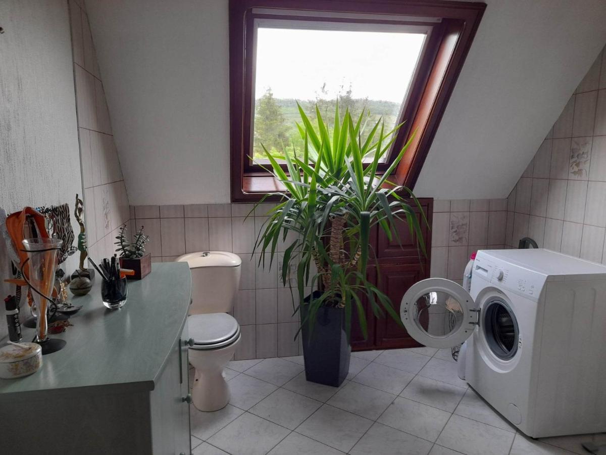 Gite Le Jardin De Hermolsheim. Alsace Tres Spacieux Mutzig Exteriér fotografie