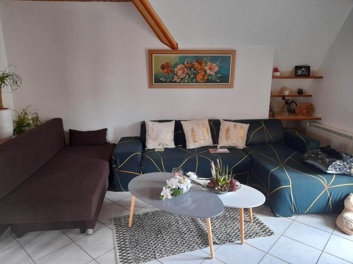Gite Le Jardin De Hermolsheim. Alsace Tres Spacieux Mutzig Exteriér fotografie